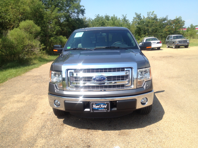 2013 Ford F-150 FB13 GRAY