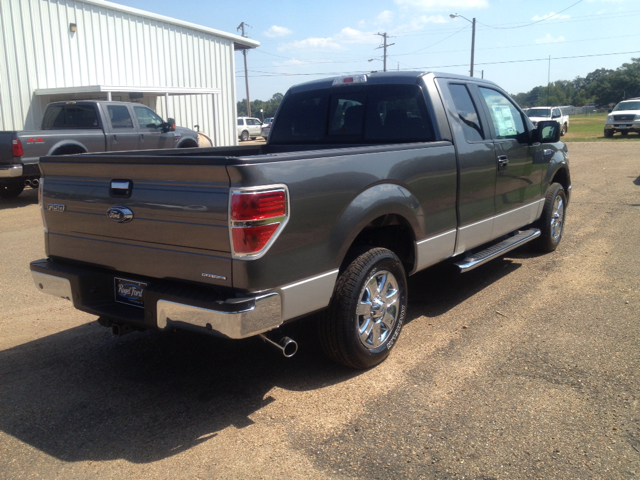 2013 Ford F-150 FB13 GRAY