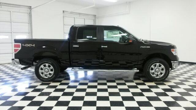 2014 Ford F-150 Unknown