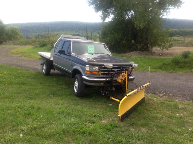 1995 Ford F-250 Base GLT