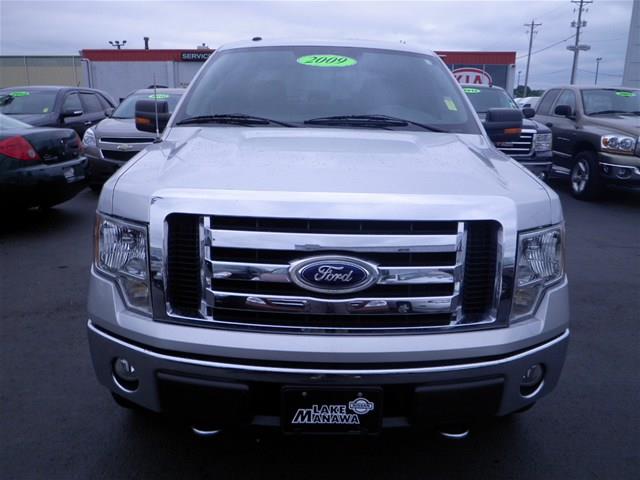 2009 Ford F150 ESi