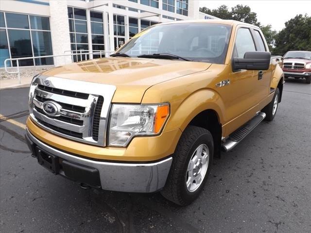 2009 Ford F150 ESi