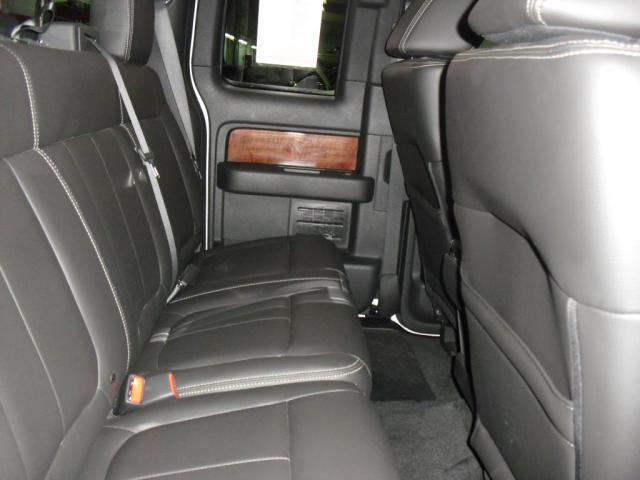 2010 Ford F150 Unknown