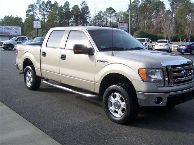 2010 Ford F150 Unknown