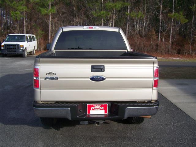 2010 Ford F150 Unknown