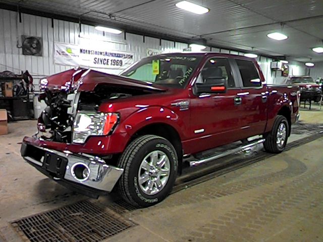 2013 Ford F150 3DR CPE GT