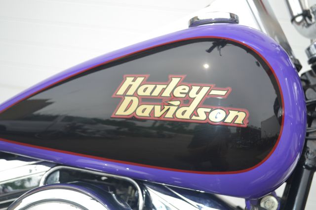 1999 Harley Davidson Softail Custom 5D SV FWD