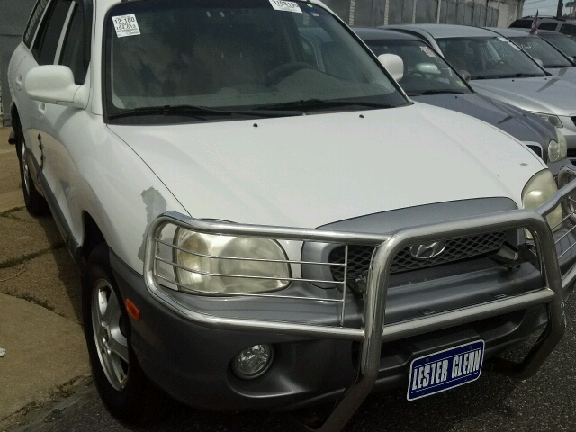 2002 Hyundai Santa Fe FWD 4dr Sport