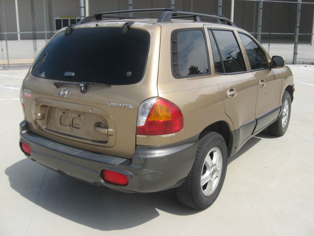 2002 Hyundai Santa Fe S Sedan