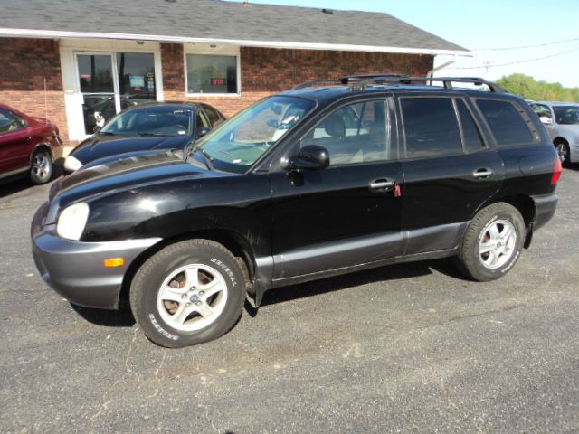 2002 Hyundai Santa Fe Ci