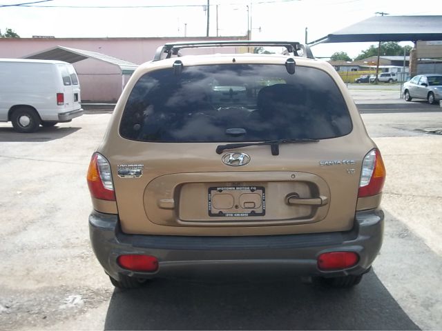 2002 Hyundai Santa Fe Elk Conversion Van