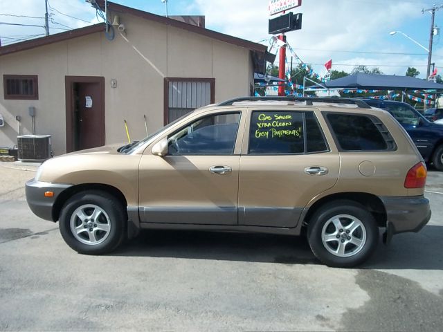 2002 Hyundai Santa Fe Elk Conversion Van