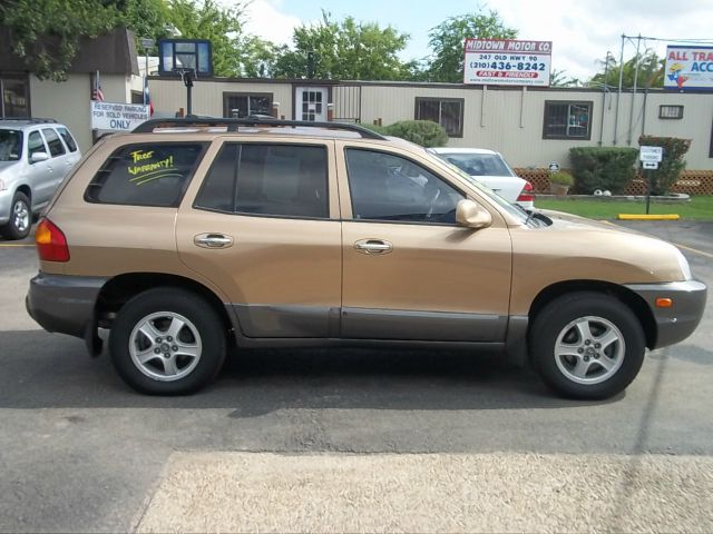 2002 Hyundai Santa Fe Elk Conversion Van