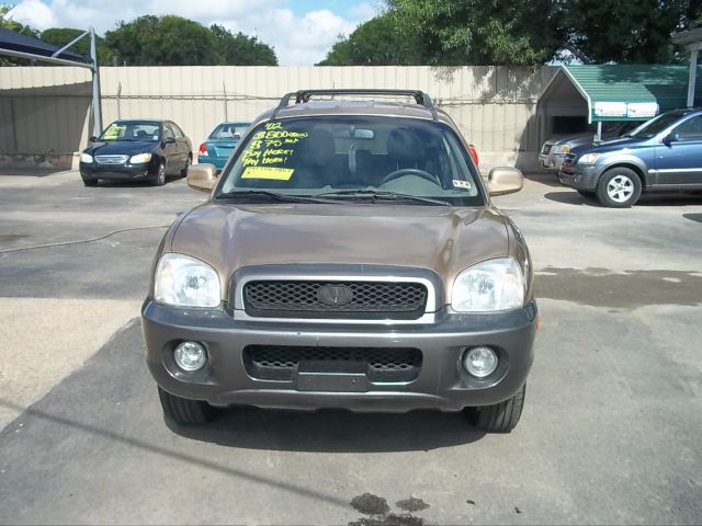 2002 Hyundai Santa Fe Elk Conversion Van