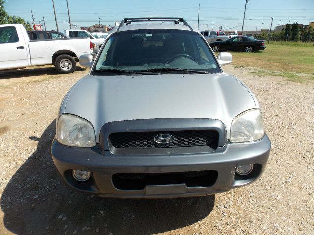 2002 Hyundai Santa Fe Elk Conversion Van