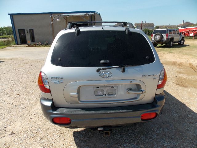 2002 Hyundai Santa Fe Elk Conversion Van