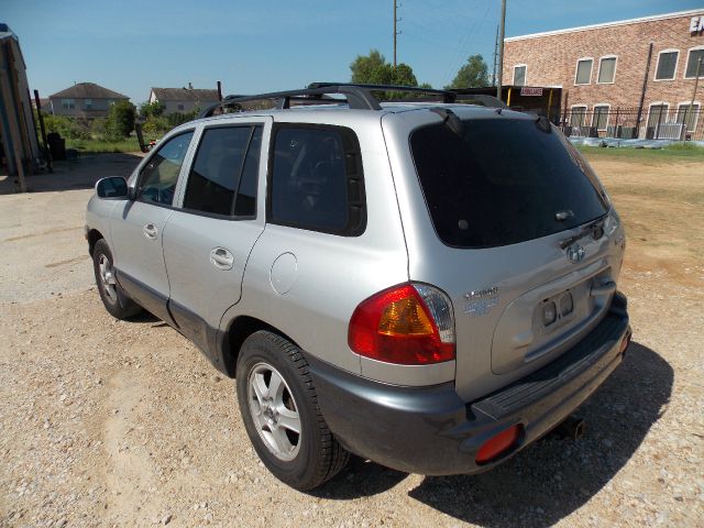 2002 Hyundai Santa Fe Elk Conversion Van