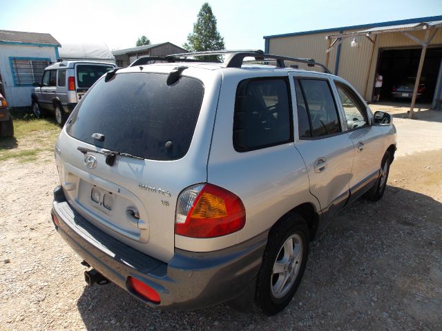 2002 Hyundai Santa Fe Elk Conversion Van