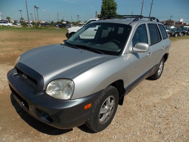 2002 Hyundai Santa Fe Elk Conversion Van