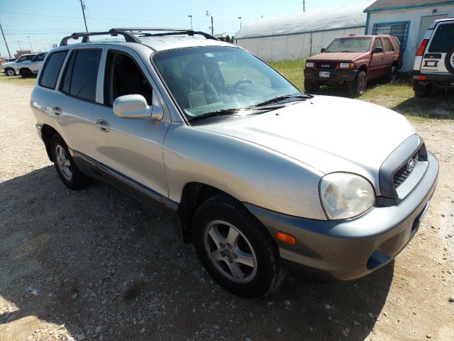 2002 Hyundai Santa Fe Elk Conversion Van