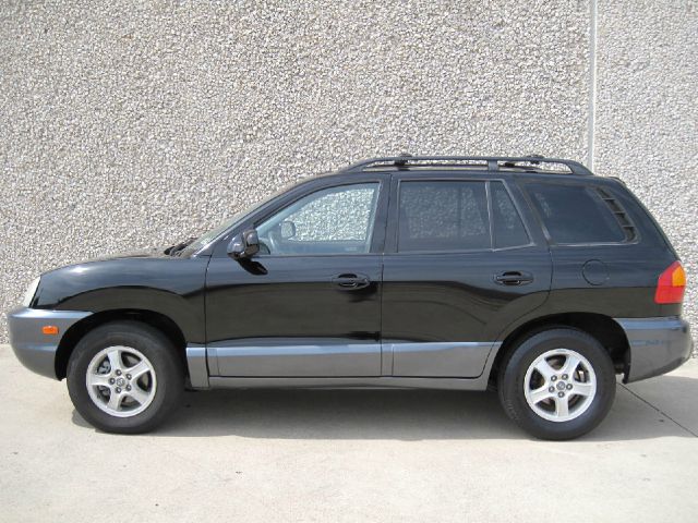 2002 Hyundai Santa Fe FWD 4dr Sport