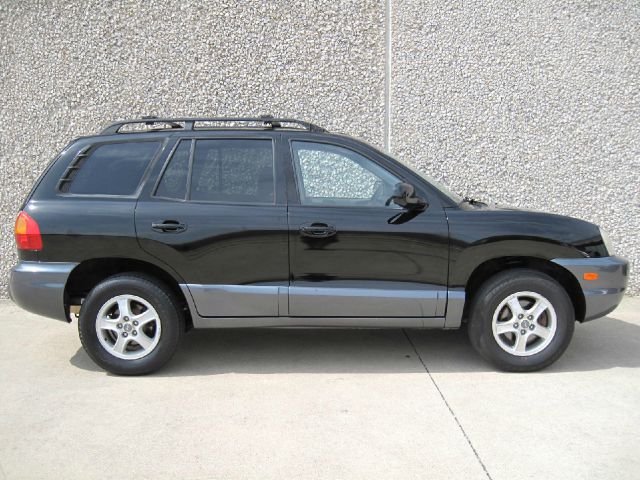 2002 Hyundai Santa Fe FWD 4dr Sport