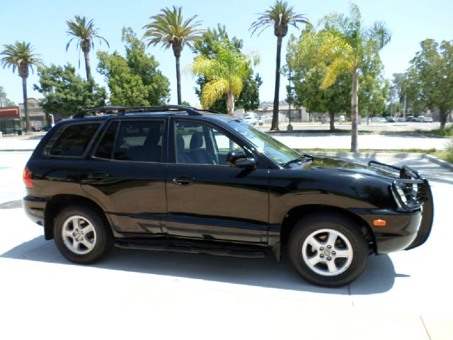 2002 Hyundai Santa Fe FWD 4dr Sport