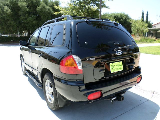 2002 Hyundai Santa Fe FWD 4dr Sport