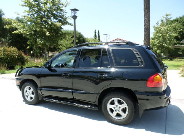 2002 Hyundai Santa Fe FWD 4dr Sport