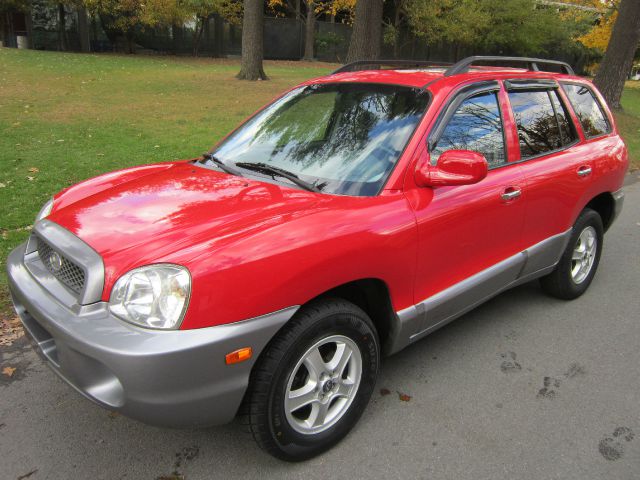 2003 Hyundai Santa Fe Elk Conversion Van