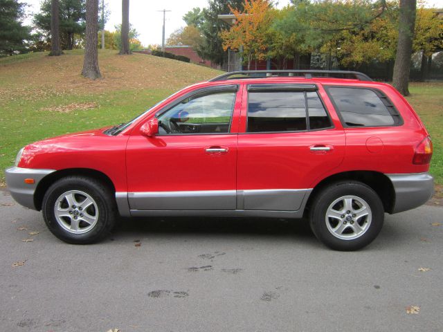 2003 Hyundai Santa Fe Elk Conversion Van