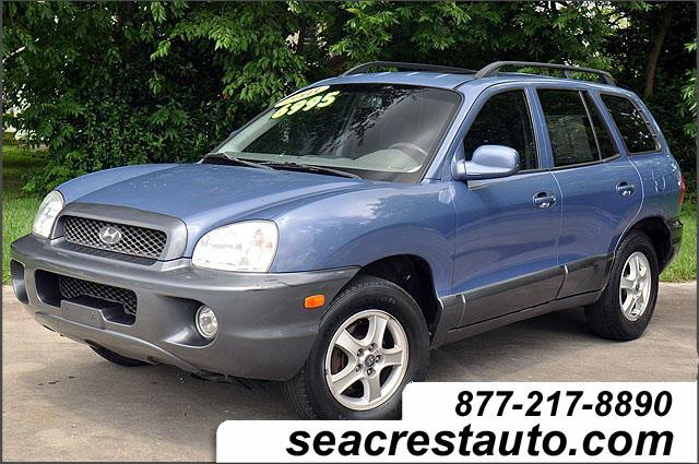 2003 Hyundai Santa Fe Elk Conversion Van