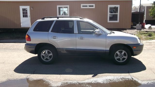 2003 Hyundai Santa Fe Elk Conversion Van