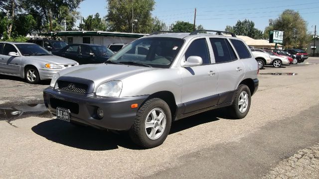 2003 Hyundai Santa Fe Elk Conversion Van