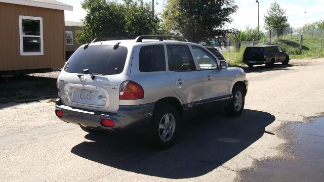 2003 Hyundai Santa Fe Elk Conversion Van