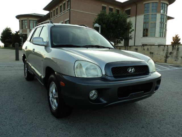 2003 Hyundai Santa Fe Elk Conversion Van