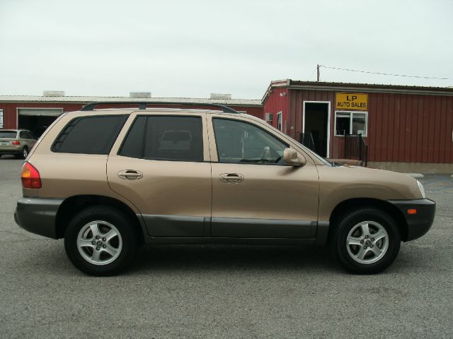 2003 Hyundai Santa Fe FWD 4dr Sport