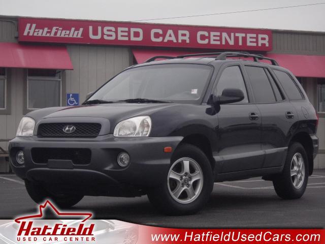 2004 Hyundai Santa Fe FWD 4dr Sport