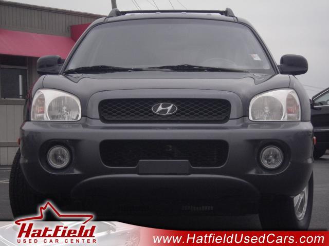 2004 Hyundai Santa Fe FWD 4dr Sport