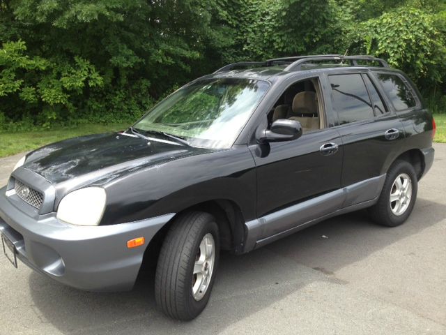 2004 Hyundai Santa Fe Sport W/ Navirearcam