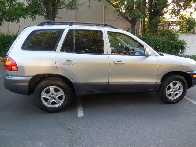 2004 Hyundai Santa Fe Base