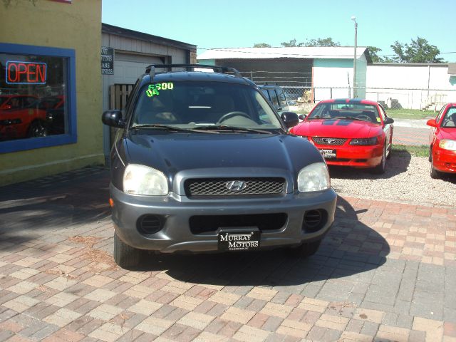 2004 Hyundai Santa Fe Base