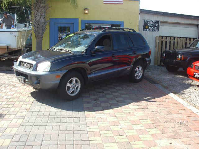 2004 Hyundai Santa Fe Base