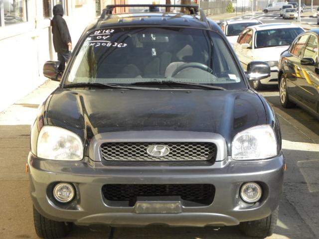 2004 Hyundai Santa Fe Ci