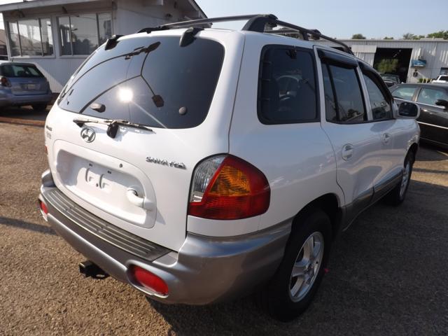 2004 Hyundai Santa Fe Unknown