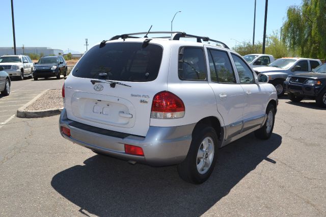 2005 Hyundai Santa Fe Elk Conversion Van