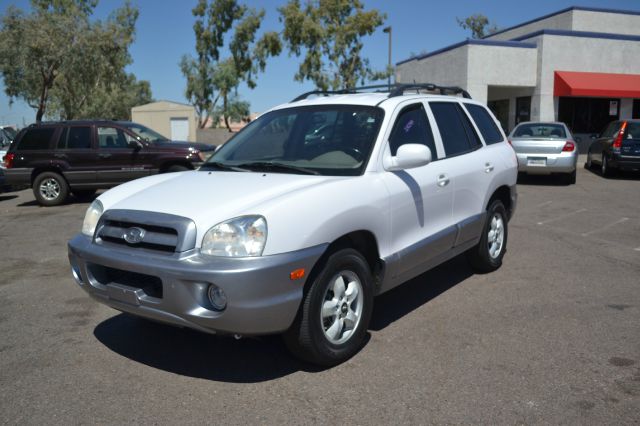 2005 Hyundai Santa Fe Elk Conversion Van