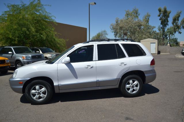 2005 Hyundai Santa Fe Elk Conversion Van