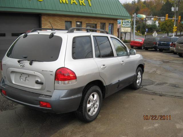 2005 Hyundai Santa Fe Ci