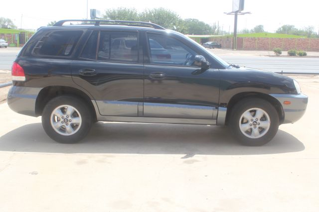 2005 Hyundai Santa Fe Elk Conversion Van